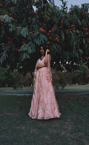 Elegant peach skirt set with embellishments