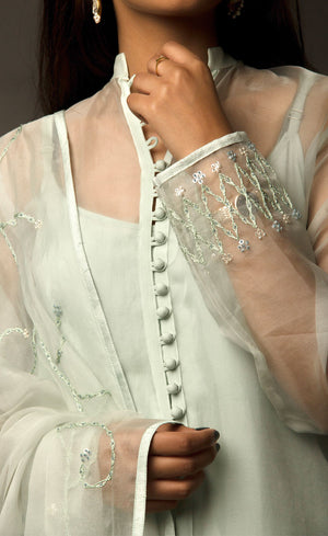 The muse here is wearing a pista green silk organza suit set intricately embroidered with our signature thread-work. The look comprises of sheer silk organza kurta having a detailed buttoned neckline with bead-work embroidery on the sleeves and back terrace, further lined with a cupro crepe slip. It is paired with an organza dupatta embroidered along the length and is further finished with raw silk and crepe pants.
