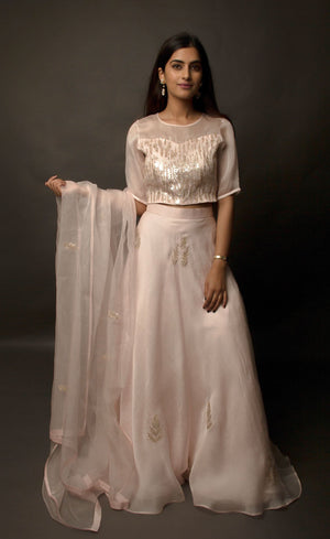 This dirty pale pink satin organza lehenga skirt is embroidered with zari and sequins motifs, the top is embellished with linear sequins and the coordinating silk organza dupatta is embroidered with sequin motifs finished with a raw silk border.