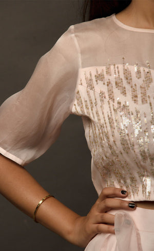 This dirty pale pink satin organza lehenga skirt is embroidered with zari and sequins motifs, the top is embellished with linear sequins and the coordinating silk organza dupatta is embroidered with sequin motifs finished with a raw silk border.