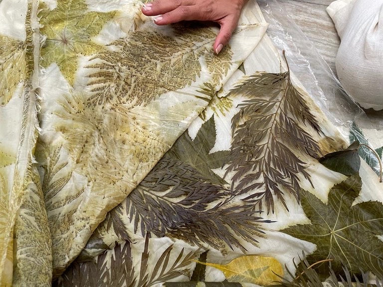 Notes from the Field: What We’ve Learned Gathering Leaves