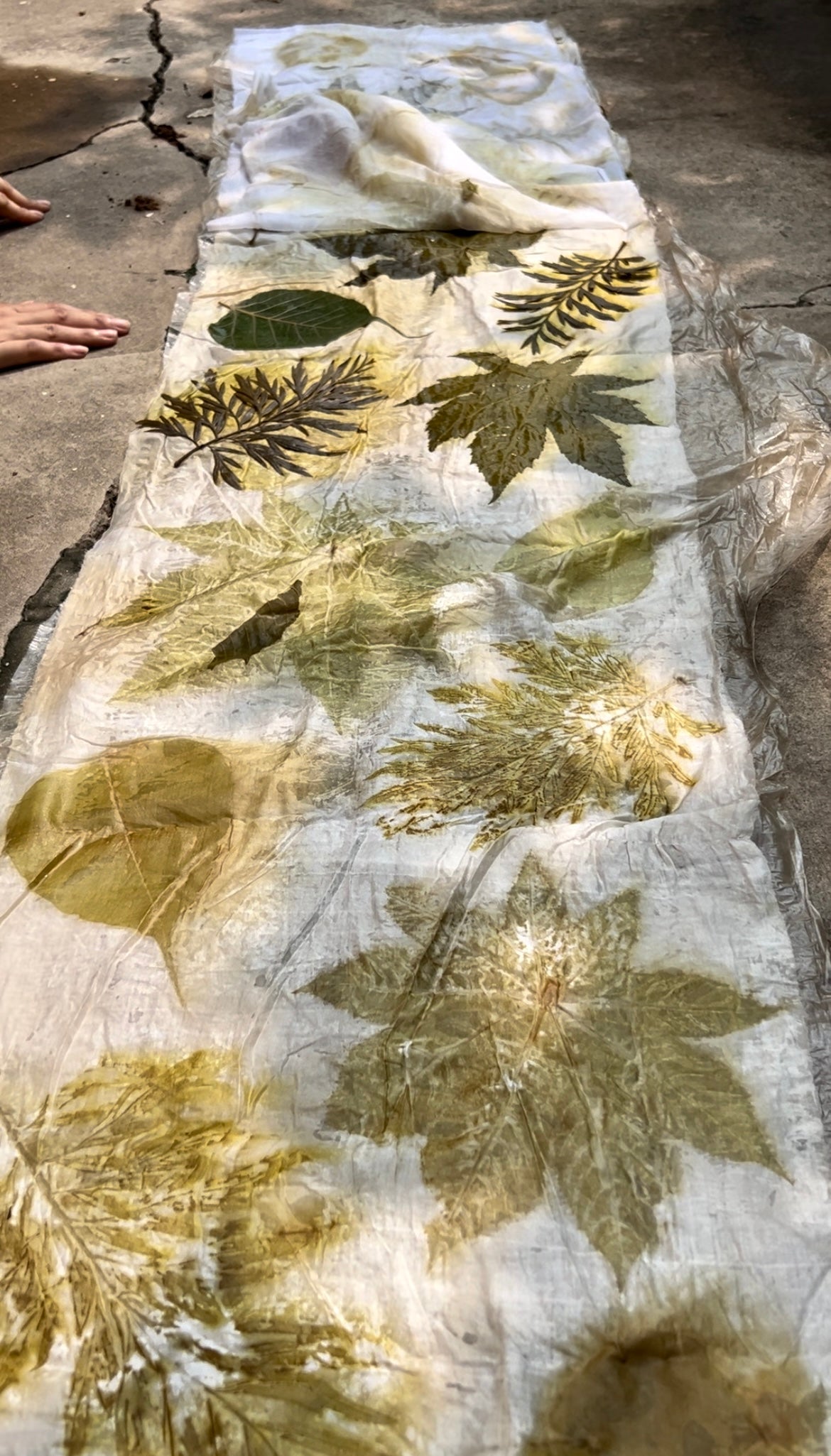 Eco-Printing on Silk: A Sustainable Artform Honoring Nature with Ethical Transparency