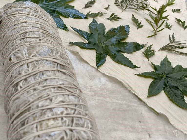 The Alchemy of Colour: From Botanical Petal to Eternal Hue