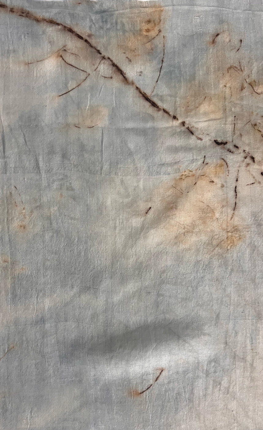 Blue-grey cabbage-dyed mulberry silk with amaltas flower eco-printed motifs, Chandigarh, India