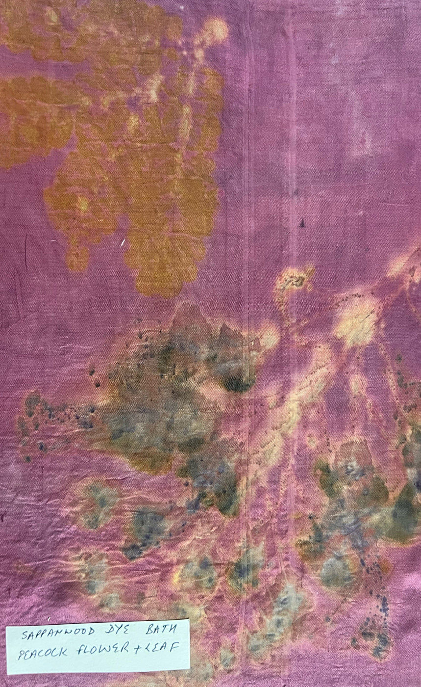 Dark sappanwood-dyed mulberry silk with peacock leaf and floral eco-printed motifs, Chandigarh, India