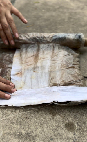 Hands carefully unrolling a steamed silk bundle to reveal delicate botanical eco-prints - soft pink, green, and coral leaf impressions transferred naturally onto the fabric. 