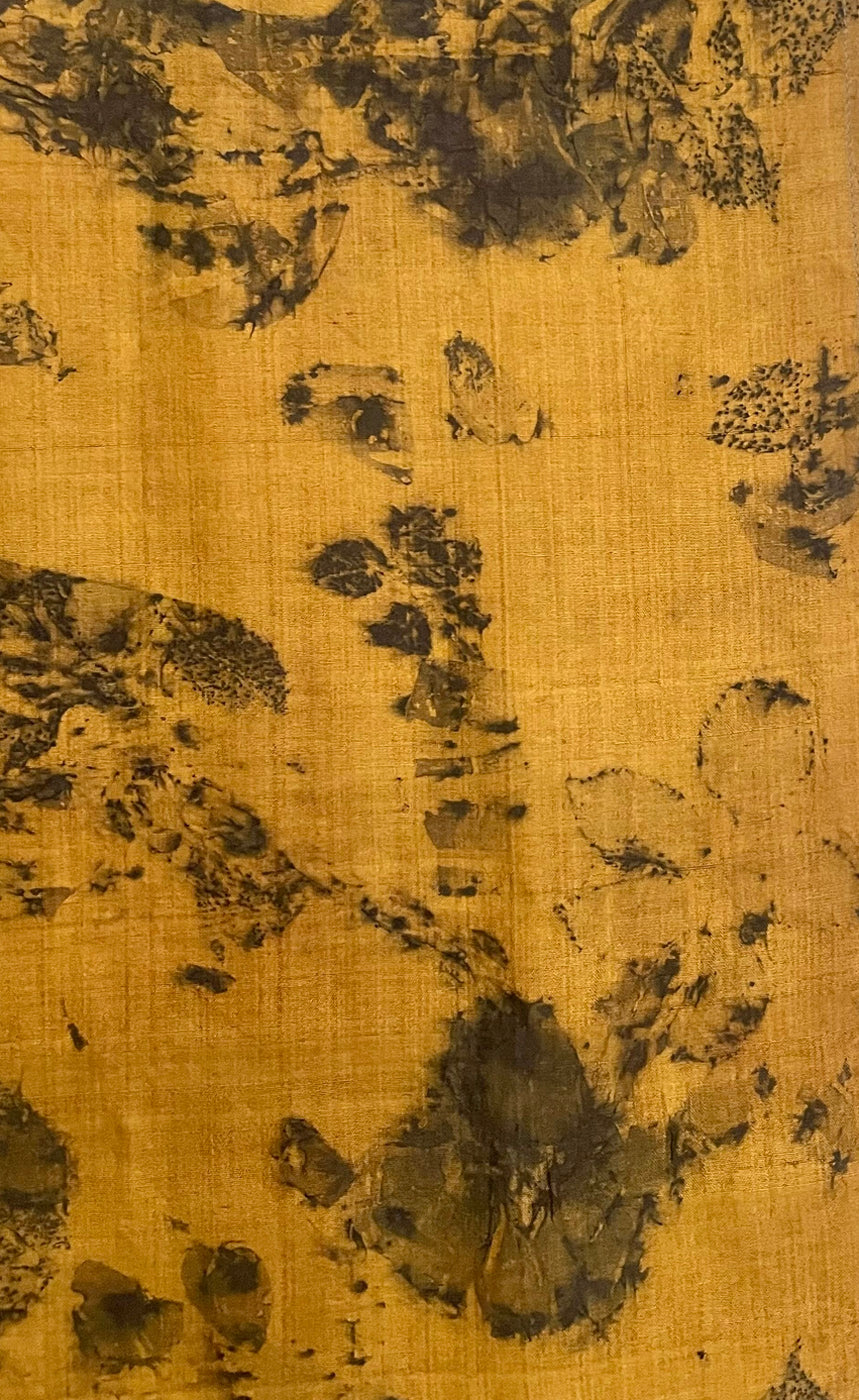 Golden turmeric-dyed mulberry silk with botanical leaf eco-printed motifs, Chandigarh, India
