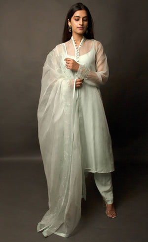 The muse here is wearing a pista green silk organza suit set intricately embroidered with our signature thread-work. The look comprises of sheer silk organza kurta having a detailed buttoned neckline with bead-work embroidery on the sleeves and back terrace, further lined with a cupro crepe slip. It is paired with an organza dupatta embroidered along the length and is further finished with raw silk and crepe pants. 